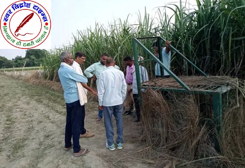 हिंसक जानवर की दस्तक, ग्रामीणों में दहशत ! सियार की आशंका ग्रामीणों ने जताई चिंता, वन विभाग टीम ने लगाया पिंजरा !