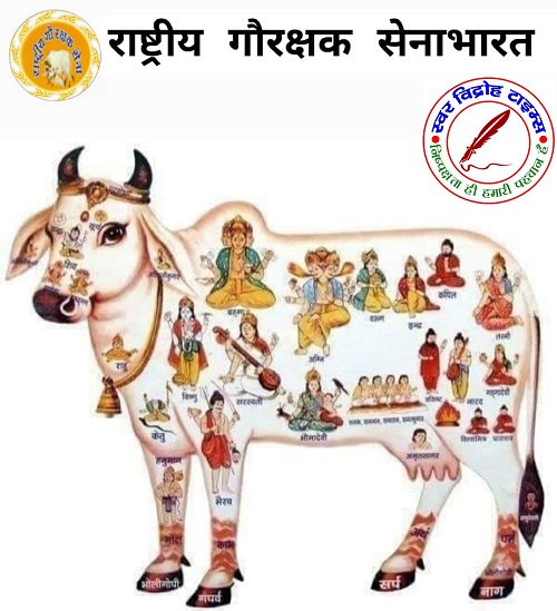 गौ पुत्र शैलेन्द्र पहलवान ने बताई गौ माता की महिमा !