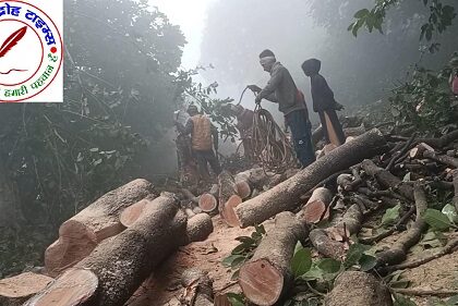 बिना परमिट हरे पेड़ों की अवैध कटाई, जिम्मेदार बने खामोश !